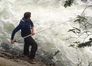 Sitka resident and ADF&G biologist Patrick Fowler dipnetting for sockeye at Redoubt in early July, 2014. (KCAW photo/Rebecca LaGuire)